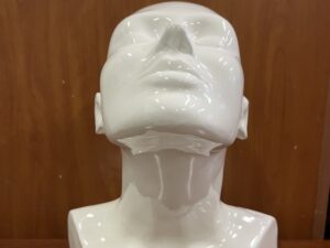 Busto in ceramica bianco
